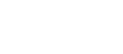 SDS Arms Image